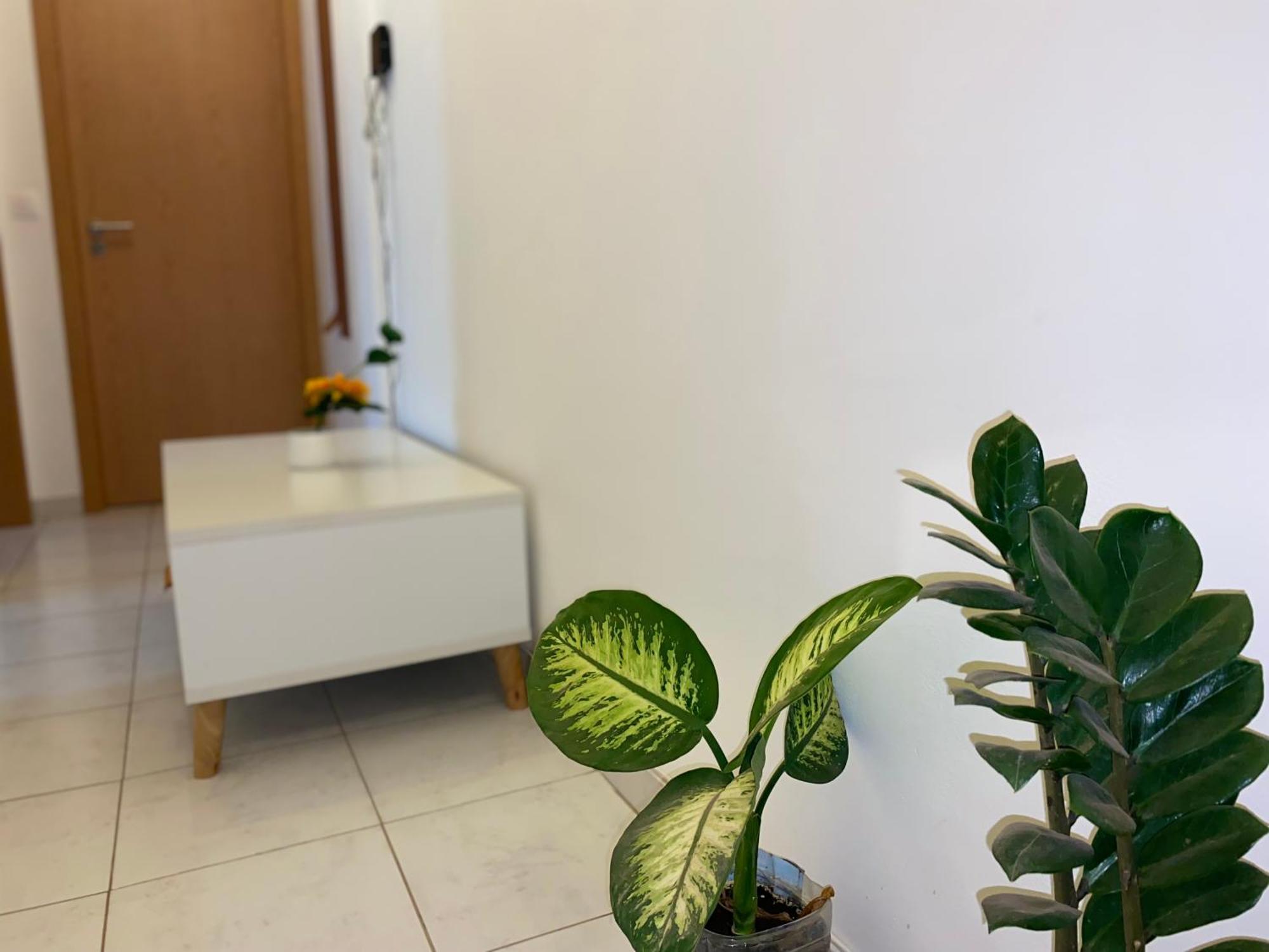 Apartamento T2 Equipado E Aconchegante. Praia Exterior photo